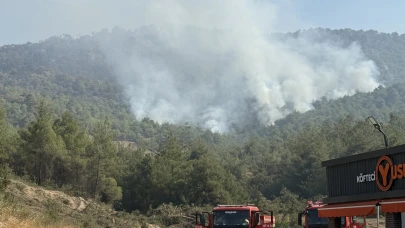 Geyve ilçesinde 3. gününde kontrol altına alınmaya çalışılıyor