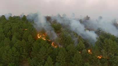 Son dakika... Dumlupınar'da orman yangını! Ekipler alevlerle mücadele ediyor