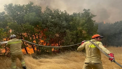 Diyarbakır'da Lice ilçesinde orman yangını kontrol altına alındı: 30 hektar zarar gördü