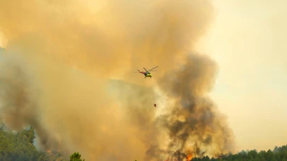 Uşak'taki orman yangını kontrol altında