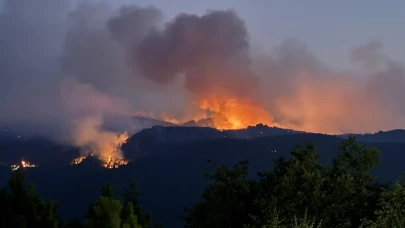 Eskişehir Seyitgazi'deki orman yangınında havadan ve karadan müdahale devam ediyor