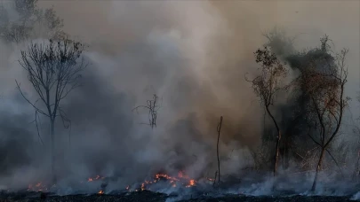 İtalya'daki orman yangınları felaketi: Toskana'da 600 Turist tahliye edildi