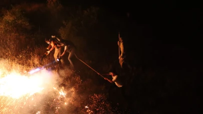 Bingöl'de orman yangını: Kontrol altına alındı