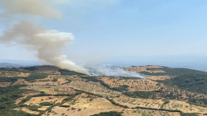 Aydın Efeler’de ziraat arazisinde yangın: Ekipler seferber oldu