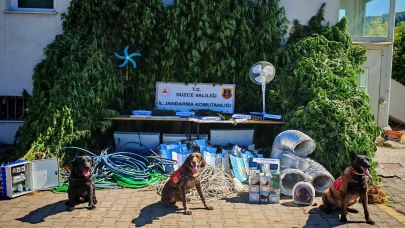 Düzce'de kenevir yetiştiren şüpheli fotokapanla yakalandı