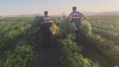 Ankara'da büyük uyuşturucu operasyonu