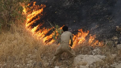 Halepçe'deki orman yangını kontrol altına alındı