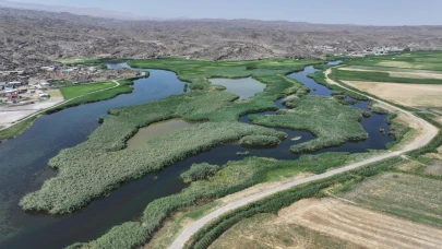 Ağrı Dağı eteklerindeki sulak alanlar kuş gözlem turizmine açılıyor