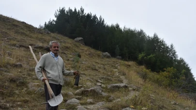 Gümüşhane'de emekli din görevlisinden tam 50 bin fidan