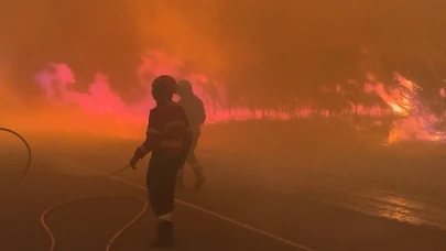 İspanya'da 31 yılın en büyük orman yangını: 344 bin hektar kül oldu