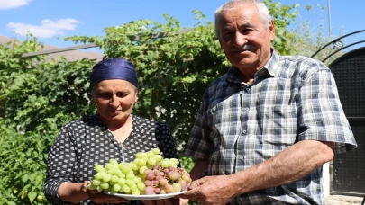 Ahıska Türkü Çift Erzincan’da Ukrayna’dan getirdikleri fidanlarla 70 çeşit üzüm yetiştiriyor
