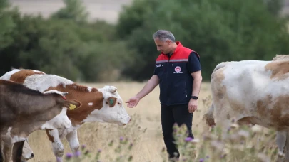 Kars'ta şap hastalığı kontrol altına alındı 1 milyon hayvan yeniden merada