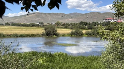Kura Nehri’nde sıcaklık etkisi: Yosun ve otlar çoğaldı