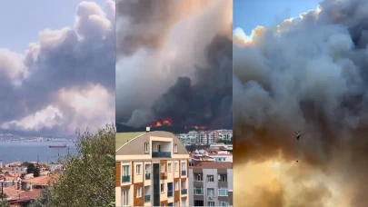 Çanakkale'de tarım arazisi yangını ormana sıçradı