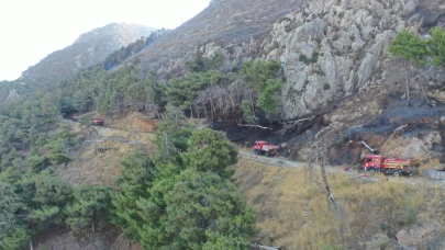 Antakya'daki orman yangını kontrol altına alındı: Soğutma çalışmaları sürüyor