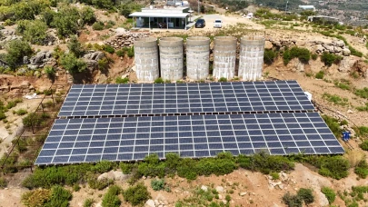 Alanya’da tropikal meyve bahçelerinde GES ile enerji devrimi