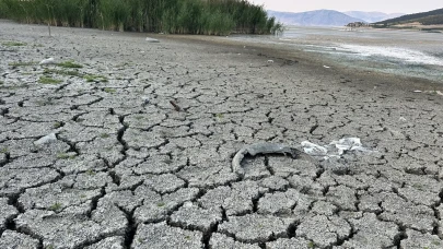 Kuraklık tehdidi: Türkiye'nin tek göl adası Mada Adası tehlikede