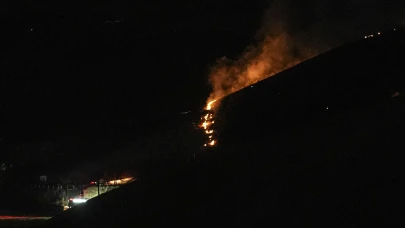 Ankara'da Eymir Gölü yakınında çıkan yangın kontrol altına alındı