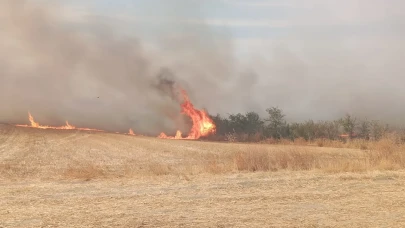 Edirne'de anız yangını ağaçlık alana sıçradı: Zarar 3 bin dekar