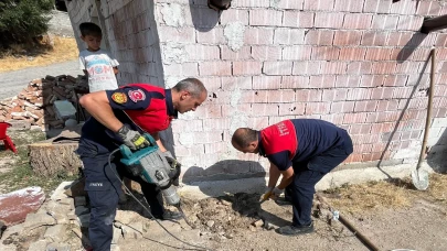 Amasya'da atık su borusunda mahsur kalan köpek yavruları kurtarıldı