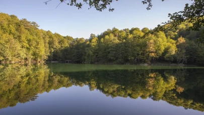 Bolu’nun orman denizi Yedigöller'de sonbahar manzaraları