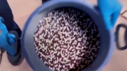 Bursa’da dev uyuşturucu operasyonu: 300 bin hapla 3 şüpheli yakalandı