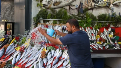 Balık sezonu açıldı tezgahlar şenlendi