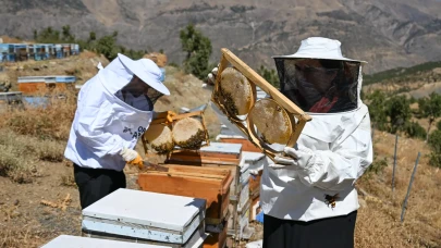 Şehir hayatını bırakan çift 350 kovanla organik bal üretiyor