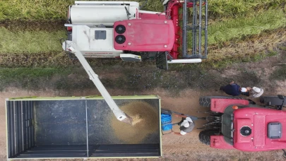Edirne'de çeltik hasadı başladı: Beklentiler yüksek, verim sevindiriyor