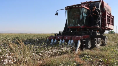 Hatay’da pamuk hasadı başladı: 140 bin ton rekolte bekleniyor