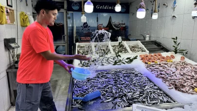 Karadeniz balıkçıları hamsiyle yüzleri güldürdü! Hamsi fiyatı 200 lira