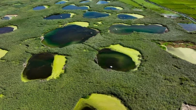 Edirne'deki Göl Baba sulak alanı kuraklığa meydan okuyor