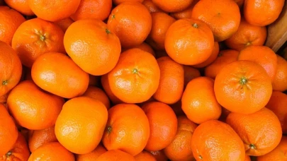 Türkiye'nin narenciye ihracatı 2025'te rekor seviyeye ulaştı