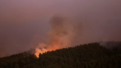 Şili'deki orman yangınları can almaya devam ediyor: Ölü sayısı 18'e yükseldi