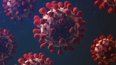 Dünya Sağlık Örgütü listesinde: Nipah virüsüne karşı aşı yok