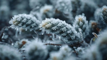 Türkiye'yi soğuk hava dalgası vuruyor: Don ve kar alarmı