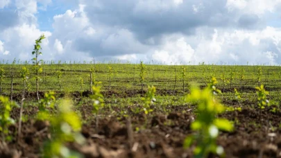 Türkiye 117 ülkeye tohum ihraç ediyor: Yerli tohumculukta yükseliş