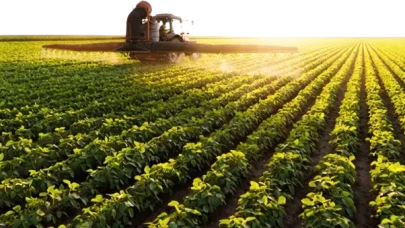 Tarım Bakanlığı'ndan çiftçilere müjde: 129,3 milyon liralık destek ödemesi hesaplara aktarılıyor