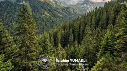 Bakan Yumaklı'dan Dünya Ormancılık Günü mesajı: "Yeşil vatanımızı korumaya kararlıyız"