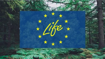 AB destekli LIFE projeleriyle geri dönüşümde yeni dönem: Atık yönetiminde ne değişecek?