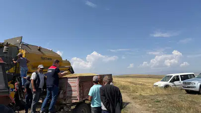 Karslı üreticiler ata tohumu kavılca ile bereketli hasada imza atıyor