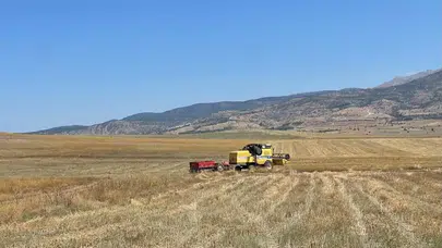 Kemerli üreticiler kuraklığa karşı aspirle umut buldu: Dekardan 120 kiloya varan verim