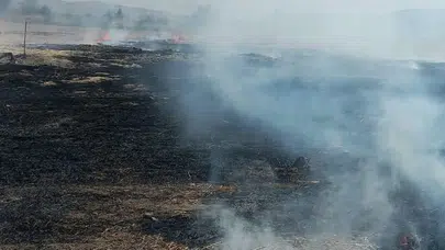 Beypazarı'nda Anız Yangını Paniği