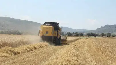 Çiftçilere 195,6 milyon liralık destek ödemesi yapıldı
