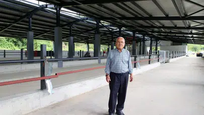 Fatsa'da hayvancılıkta dev adım: Damızlık Düve Merkezi kapılarını açıyor