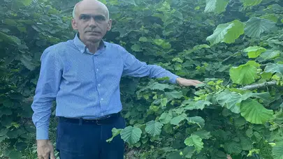 Fındıkta Fiyat Manipülasyonu: Üretici 190 Liraya Mahkum Edildi