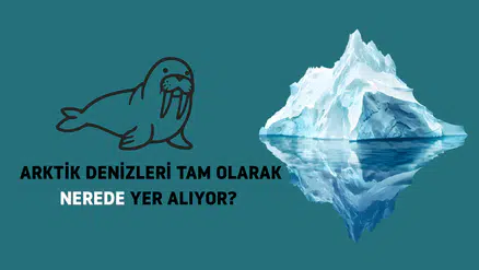 HARİTADAKİ EN KUZEY NOKTA: ARKTİK DENİZLERİ TAM OLARAK NEREDE YER ALIYOR?