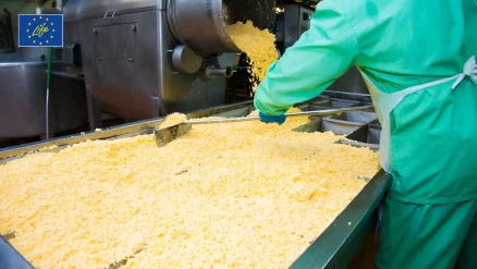 Peynir atıklarından devrim: Whey2LIFE projesiyle atıksız üretim mümkün