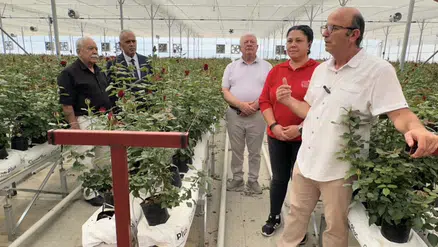 Isparta’da kesme gül ve topraksız domates yatırımı