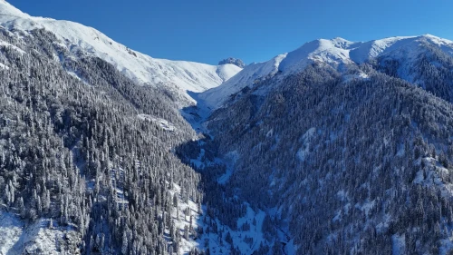 Çamlıhemşin’de kar yağışı: Ayder Yaylası beyaza büründü
